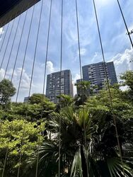 High Park Residences (D28), Apartment #580240411